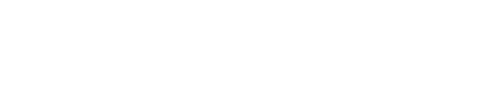 Dana Pollard Group (DPG) logo representing a professional real estate and marketing brand